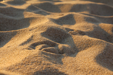 Sylt - the beautiful island is located in the north of Germany