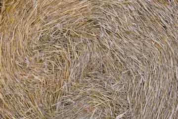 Natural background. The straw from the wheat is rolled up into a roll.