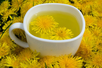 Dandelion flower tea infusion in white cup close up