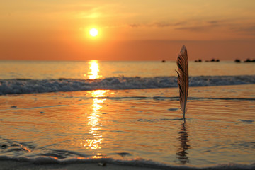 Sylt - the beautiful island is located in the north of Germany