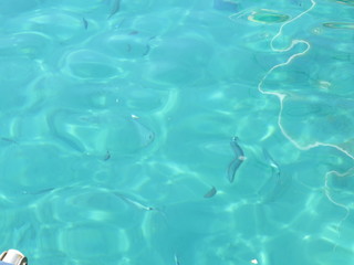 blue water in adriatic sea
