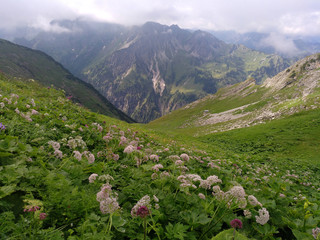 Fototapeta na wymiar wunderschöner Blick in den Allgäuer Alpen