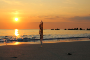 Sylt - the beautiful island is located in the north of Germany