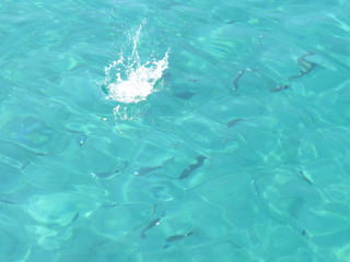 water in adriatic sea