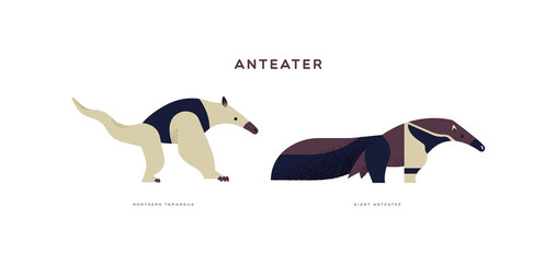 Wild anteater isolated animal cartoon set