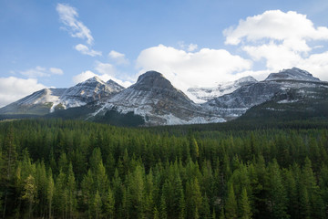 mountain view snow covered and green trees in banff national park canada