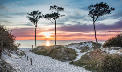 am meer