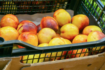 Peaches in drawers in a supermarket on a store counter for sale.