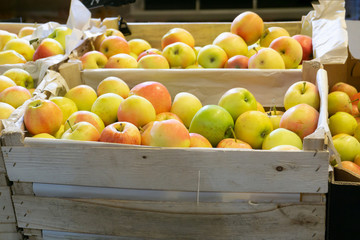 Apples in boxes in a supermarket on a store counter for sale.