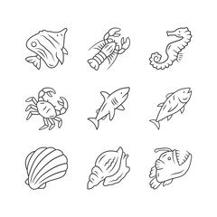 Marine animals linear icons set. Swimming shark, anglerfish, butterflyfish. Underwater creature. Aquatic organism. Thin line contour symbols. Isolated vector outline illustrations. Editable stroke