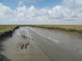 UNESCO-Weltnaturerbe - Nationalpark Wattenmeer 