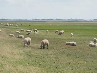 UNESCO-Weltnaturerbe - Nationalpark Wattenmeer 