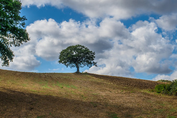 Campagna