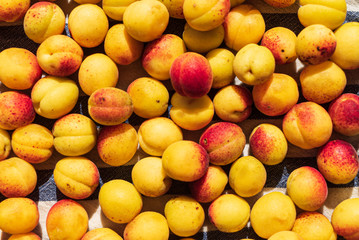 background of ripe organic apricots