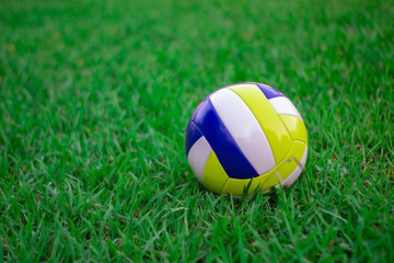 Plakat volleyball on the green grass. Beach Volleyball on green grass.