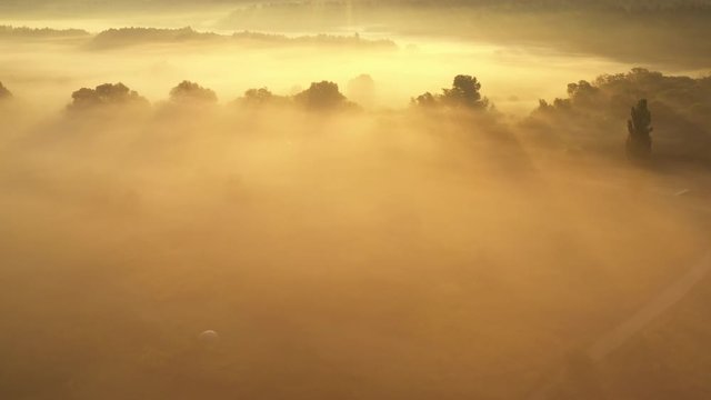 A drone flying over a summer blurred forest early in the morning. The sun's rays cut through the fog.