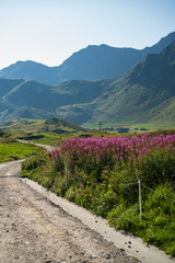 Plakat road in mountains