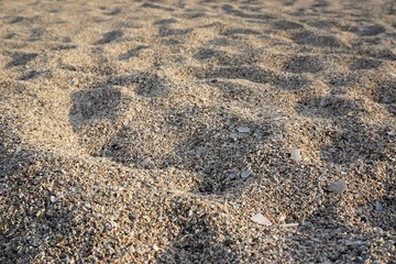 Close-up view of sand and pebbles on beach.