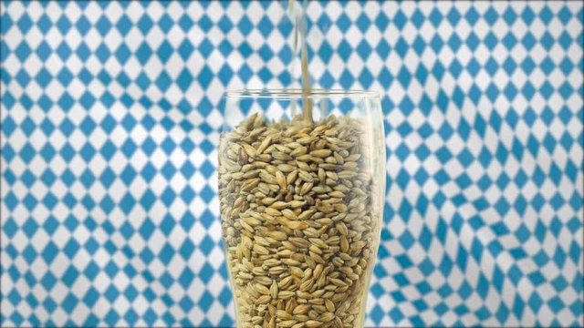 Beer brewed in a cooker according to the classic recipe from malt and hops is poured into a glass against the background of light grain in slow motion from above 59.94 4k