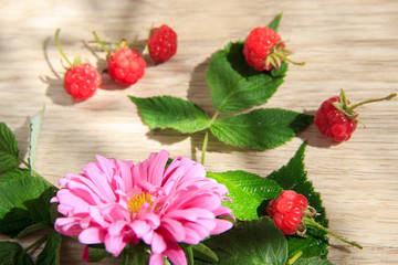 Obraz na płótnie Canvas Big pink flower, raspberries and green leaves on the wooden background