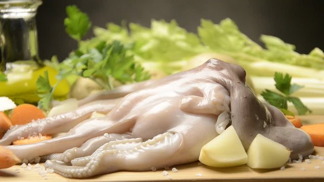 Octopus vulgaris
