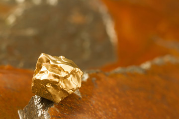The pure gold ore found in the mine on a wet stone by the river. Golden bar in nature close up....