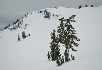 Mount Baker wilderness , WA , USA , winter landscape with mountains and snow