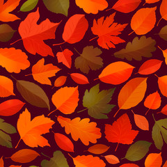 Fototapeta na wymiar Leaf fall seamless background. Autumn concept. Vector illustration