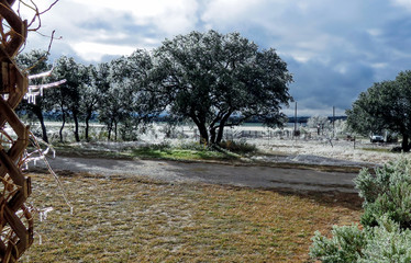 Icy Winter Rural Morning With Snow Clouds and Sunshine