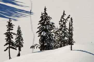 Mount Baker wilderness , WA , USA , winter landscape with mountains and snow