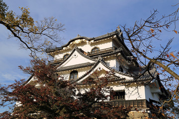 晩秋の彦根城