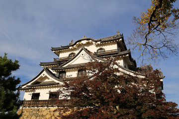 晩秋の彦根城