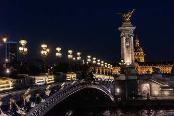 Fototapeta na wymiar Parisian Bridge