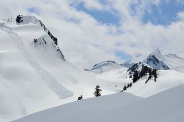 Mount Baker wilderness , WA , USA , spring  landscape with mountains and snow