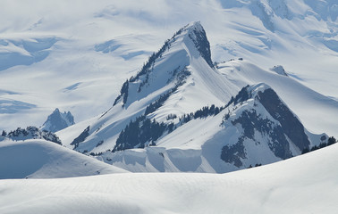 Mount Baker wilderness , WA , USA , spring  landscape with mountains and snow