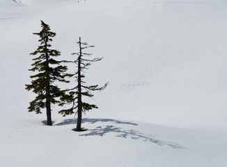 Mount Baker wilderness , WA , USA , spring  landscape with mountains and snow