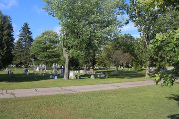 Fototapeta premium old cemetery park