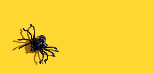 Halloween black spider - overhead view flat lay