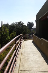 nature railing walkway
