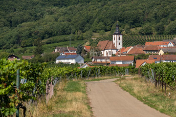 Blick auf das Weindorf Weyher in der Pfalz