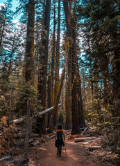 A young woman on the trail from Taft point to Sentinel Dome, vertical photo, Yosemite National Park. United States