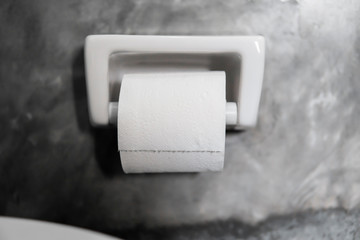 A white roll of soft toilet paper neatly hanging on a modern white holder on a concrete style bathroom wall. Luxury and stylish design bathroom with a concrete style walls.