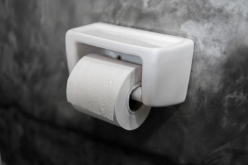 A white roll of soft toilet paper neatly hanging on a modern white holder on a concrete style bathroom wall. Luxury and stylish design bathroom with a concrete style walls.