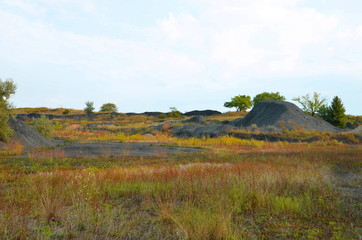 Mine rock lies among the natural landscape.