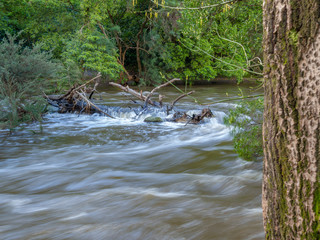 Log Jam