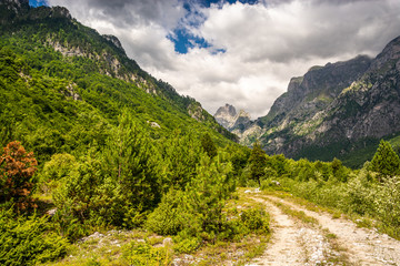 Fototapeta na wymiar Dirt road in National Park Valbona in Albania, Europe