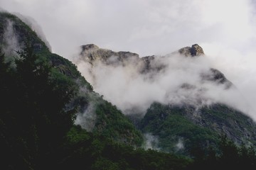 mist hanging on the mountain