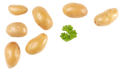 Potatoes and parsley isolated on white background with copy space for your text. Top view. Flat lay pattern. Potatoes in air, without shadow.