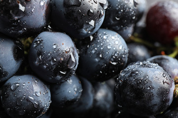 Fresh ripe juicy black grapes as background, closeup view