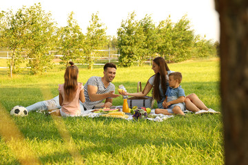 Happy family having picnic in park on sunny summer day